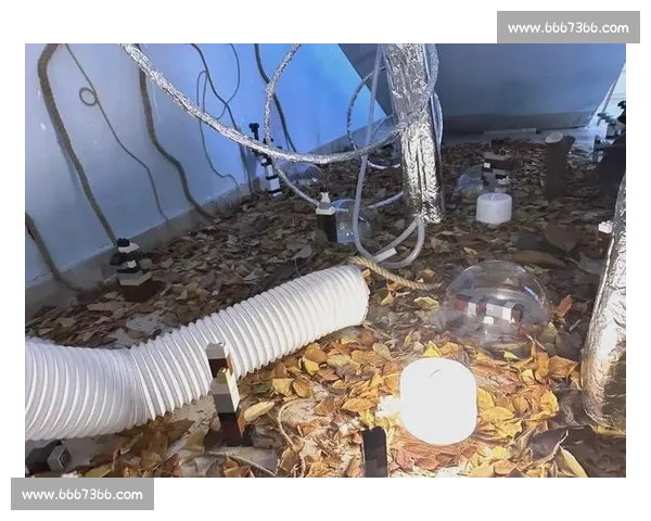 乐高玩具创意大赛全程回顾 打造梦幻世界的竞技盛宴