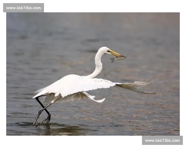 以太森赛季精彩瞬间全记录与选手表现深度解析
