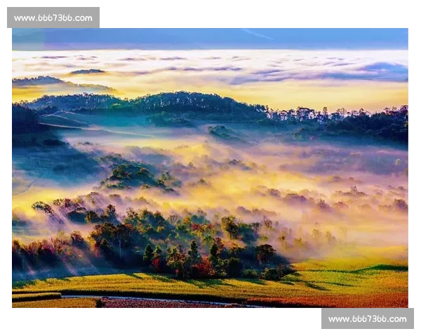 全国摄影大赛征集作品精彩纷呈，邀请摄影爱好者共同记录时代变迁与自然之美