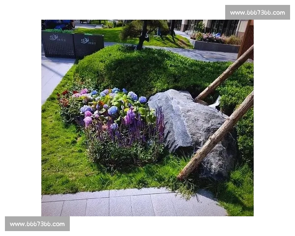 创新与自然和谐共生庭院设计大赛探索绿意与艺术的完美融合 创新与自然和谐共生庭院设计大赛探索绿意与艺术的完美融合