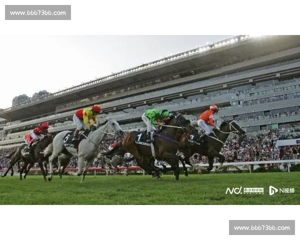 国际比赛周来临各大赛事热力上演体育迷狂欢一触即发