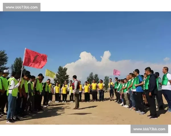 库克比赛激烈角逐揭示科技创新与团队协作新趋势