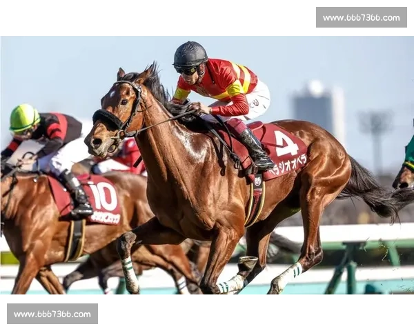 日本十二生肖赛马大赛:传统与现代的完美结合与激烈竞争 日本十二生肖赛马大赛:传统与现代的完美结合与激烈竞争