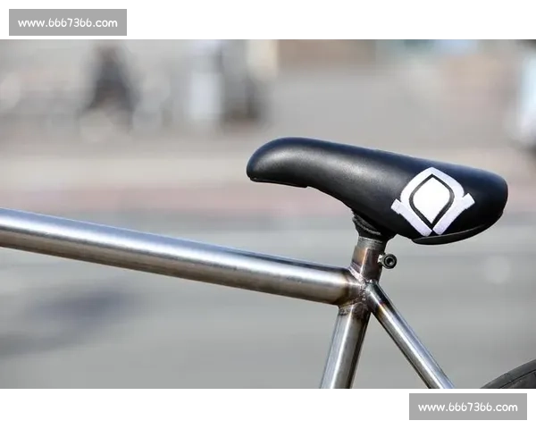 死飞比赛的竞技魅力与文化传承探讨如何在城市街头彰显速度与技巧